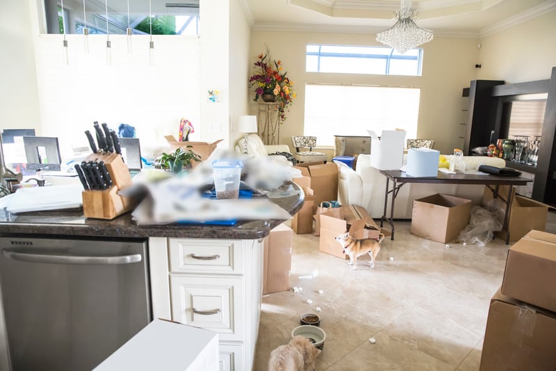 Move In / Move Out Cleaning Service by Rosie
